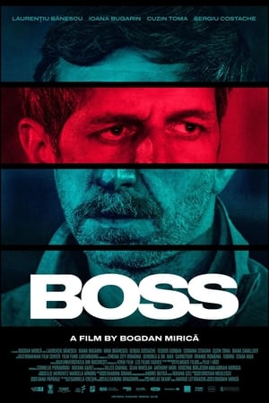 Boss watch Boss