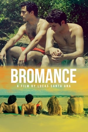 watch Bromance
