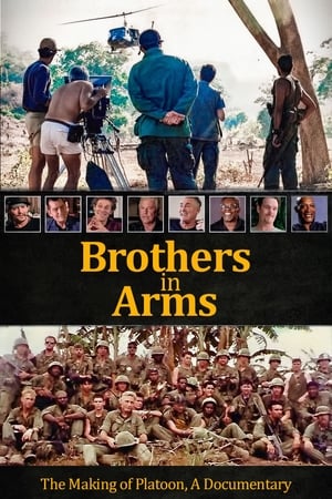 Brothers in Arms watch Brothers in Arms