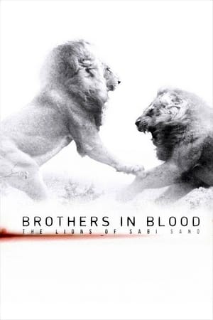 Brothers in Blood: The Lions of Sabi Sand watch Brothers in Blood: The Lions of Sabi Sand