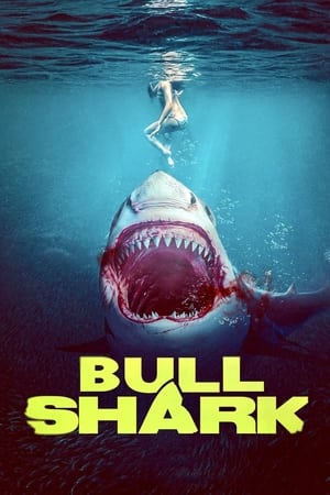Bull Shark watch Bull Shark
