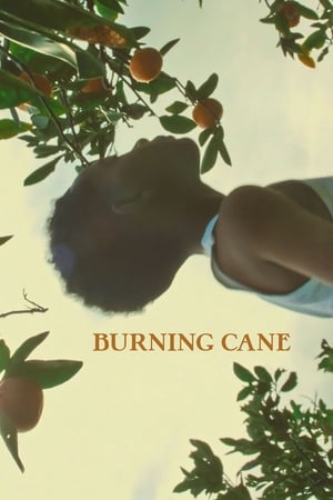 Burning Cane watch Burning Cane