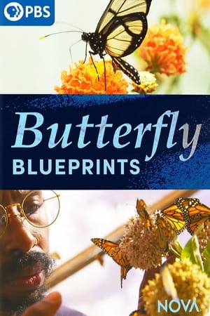 watch Butterfly Blueprints