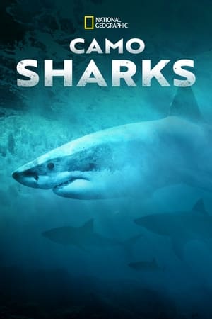 Camo Sharks watch Camo Sharks