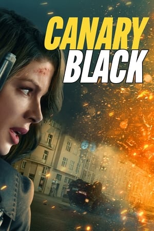 Canary Black watch Canary Black