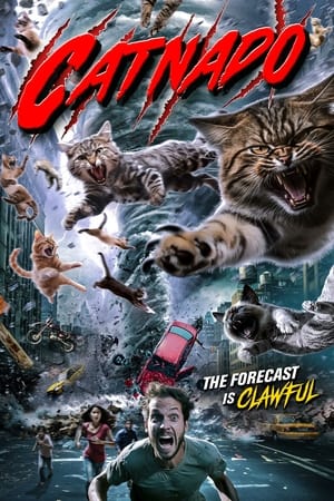 watch Catnado