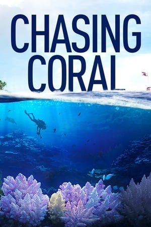 Chasing Coral watch Chasing Coral