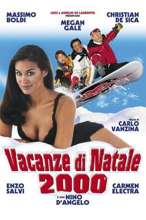 Christmas Vacation 2000 watch Christmas Vacation 2000