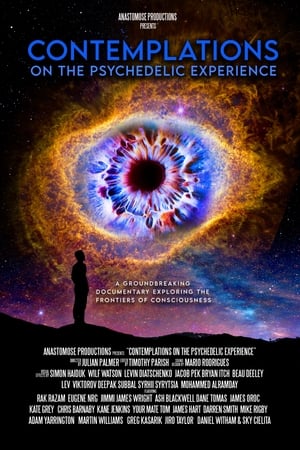 watch Contemplations: On the Psychedelic Experience