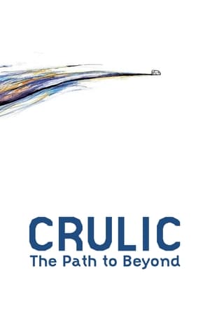 Crulic: The Path to Beyond watch Crulic: The Path to Beyond