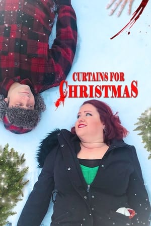 Curtains for Christmas watch Curtains for Christmas