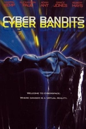 Cyber Bandits watch Cyber Bandits