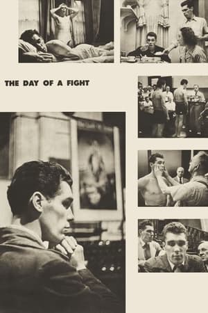 watch Day of the Fight