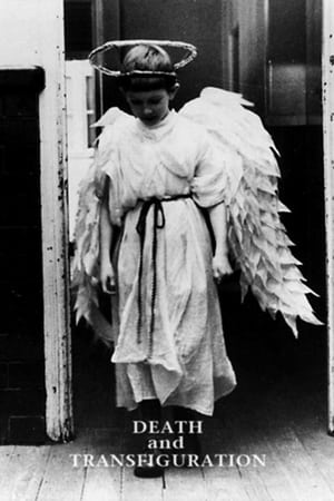 watch Death and Transfiguration