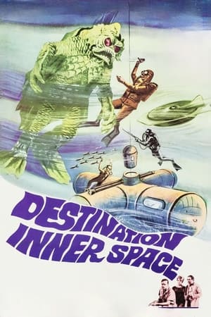 watch Destination Inner Space