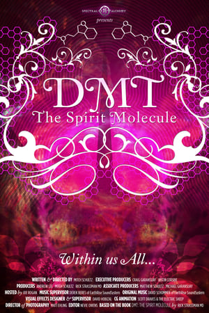 DMT: The Spirit Molecule watch DMT: The Spirit Molecule
