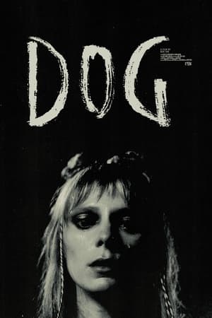 .dog watch .dog