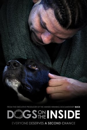 Dogs on the Inside watch Dogs on the Inside
