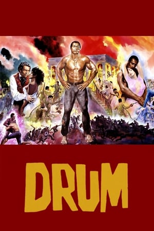 watch Drum