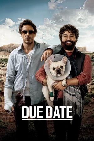 watch Due Date