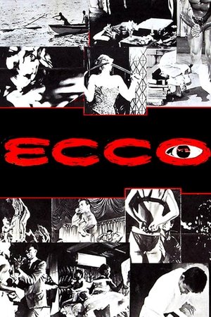 Ecco watch Ecco
