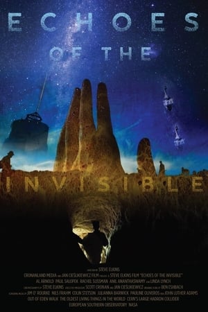 watch Echoes of the Invisible