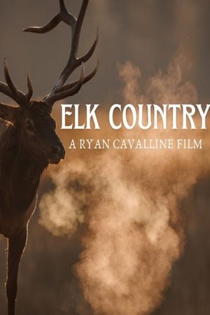watch Elk Country