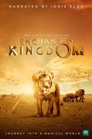 Enchanted Kingdom watch Enchanted Kingdom
