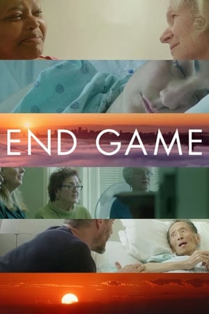 End Game watch End Game