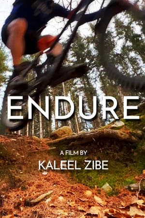 watch Endure