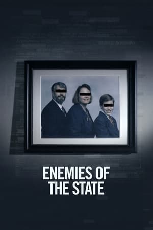 Enemies of the State watch Enemies of the State