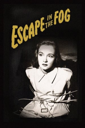 watch Escape in the Fog