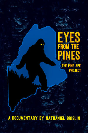 Eyes from the Pines watch Eyes from the Pines