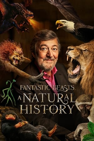 Fantastic Beasts: A Natural History watch Fantastic Beasts: A Natural History