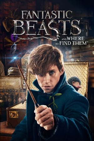 Fantastic Beasts and Where to Find Them watch Fantastic Beasts and Where to Find Them