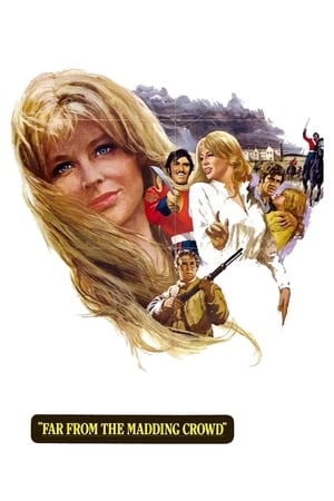 Far from the Madding Crowd watch Far from the Madding Crowd
