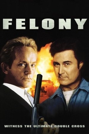 Felony watch Felony