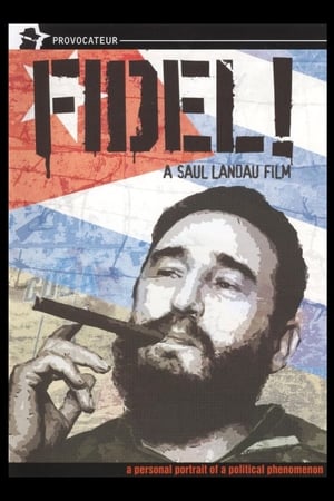 watch Fidel