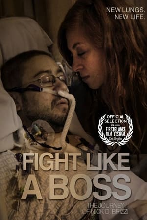 watch Fight Like a Boss