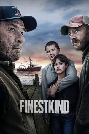 watch Finestkind