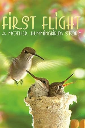 watch First Flight: A Mother Hummingbird's Story