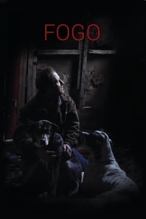 Fogo watch Fogo