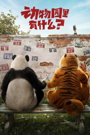 Follow Bear to Adventure watch Follow Bear to Adventure