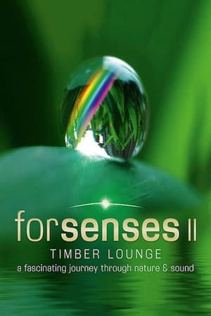 Forsenses II: Timber Lounge watch Forsenses II: Timber Lounge