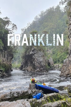 Franklin watch Franklin