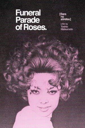 Funeral Parade of Roses watch Funeral Parade of Roses