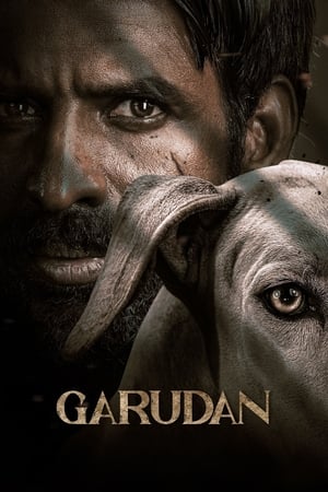 Garudan watch Garudan