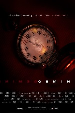 Gemini watch Gemini