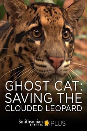 Ghost Cat: Saving the Clouded Leopard watch Ghost Cat: Saving the Clouded Leopard