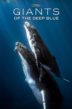Giants of the Deep Blue watch Giants of the Deep Blue